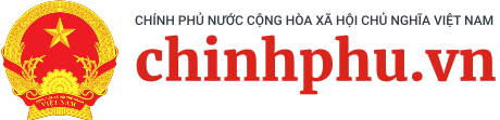 Chính phủ