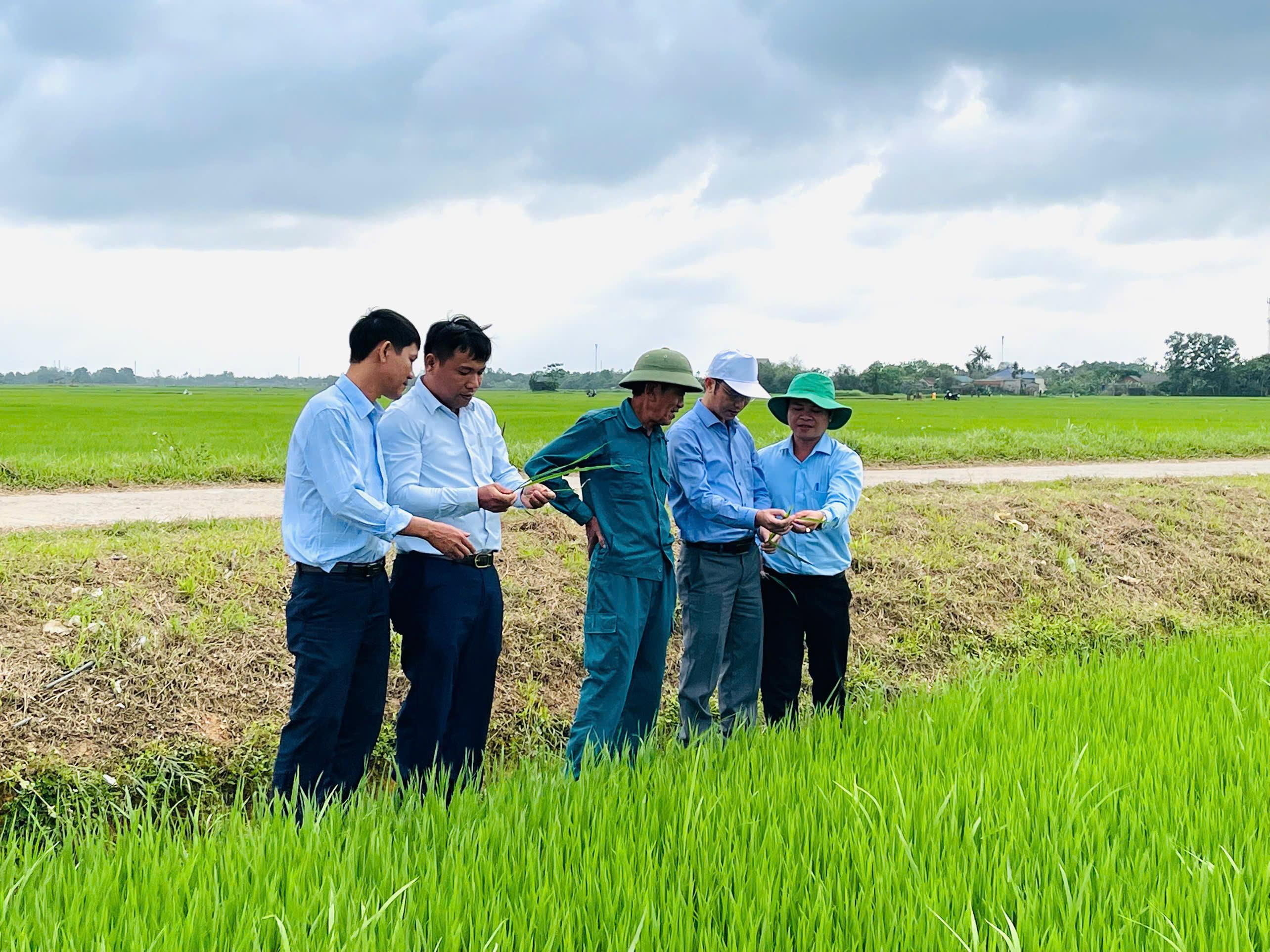 CHỦ TỊCH UBND XÃ KIỂM TRA SẢN XUẤT NÔNG NGHIỆP VỤ ĐÔNG XUÂN 2025-2026