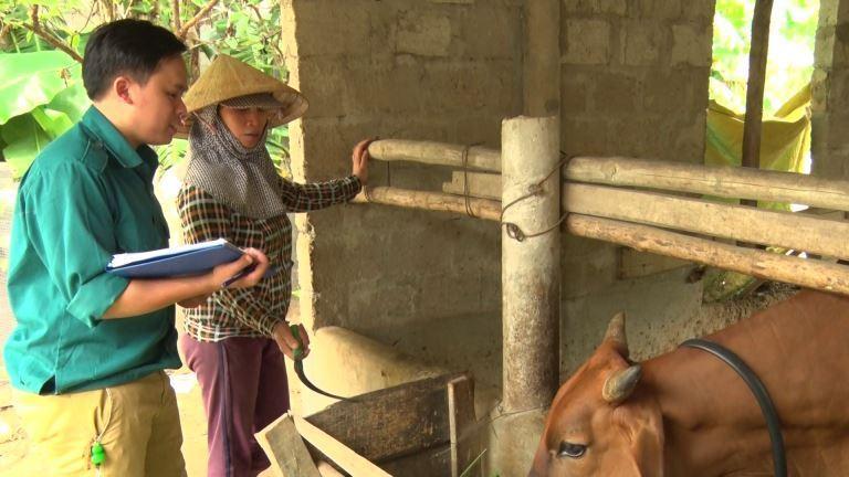 XÃ TRIỆU CƠ TRIỂN KHAI KẾ HOẠCH TIÊM PHÒNG CHO ĐÀN GIA SÚC, GIA CẦM NĂM 2026